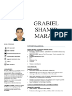 CV Gabrielmaravi