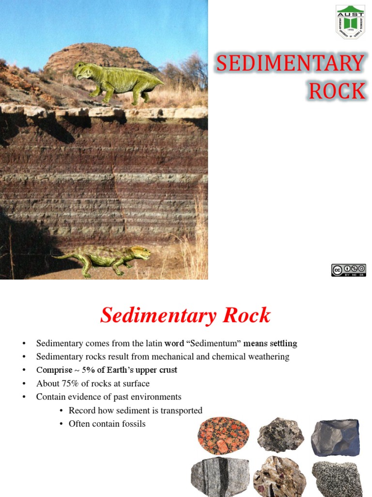Understanding Sedimentary Rocks and Processes | PDF | Sedimentary Rock ...
