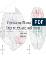 01 Single Neurons and Small Circuits