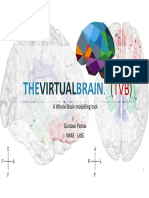 02b The Virtual Brain (TVB-GUI)