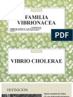 Familia Vibrionacea