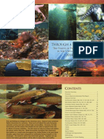 Fish Habitat Report
