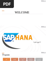 04 Sap Ha100