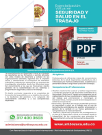 Esp Seguridad Salud Trabajo