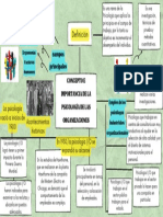 Mapa Mental Del Concepto e Importancia de La Psicología de Las Organizaciones-4