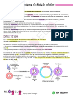 14 - Mini Apunte Mitosis Y Meiosis