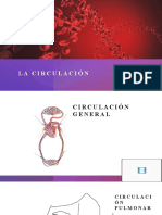 La Circulación