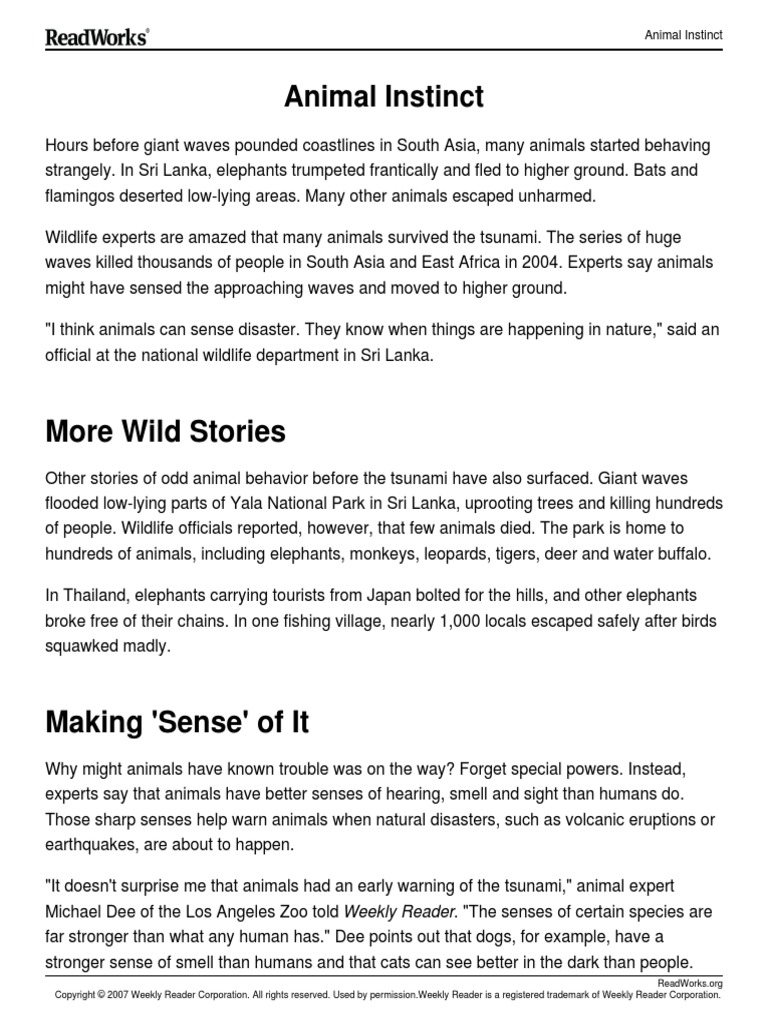 Animal Instinct PDF Tsunami Sound