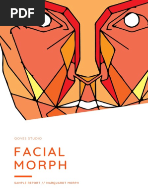 Facial-Morph-V2