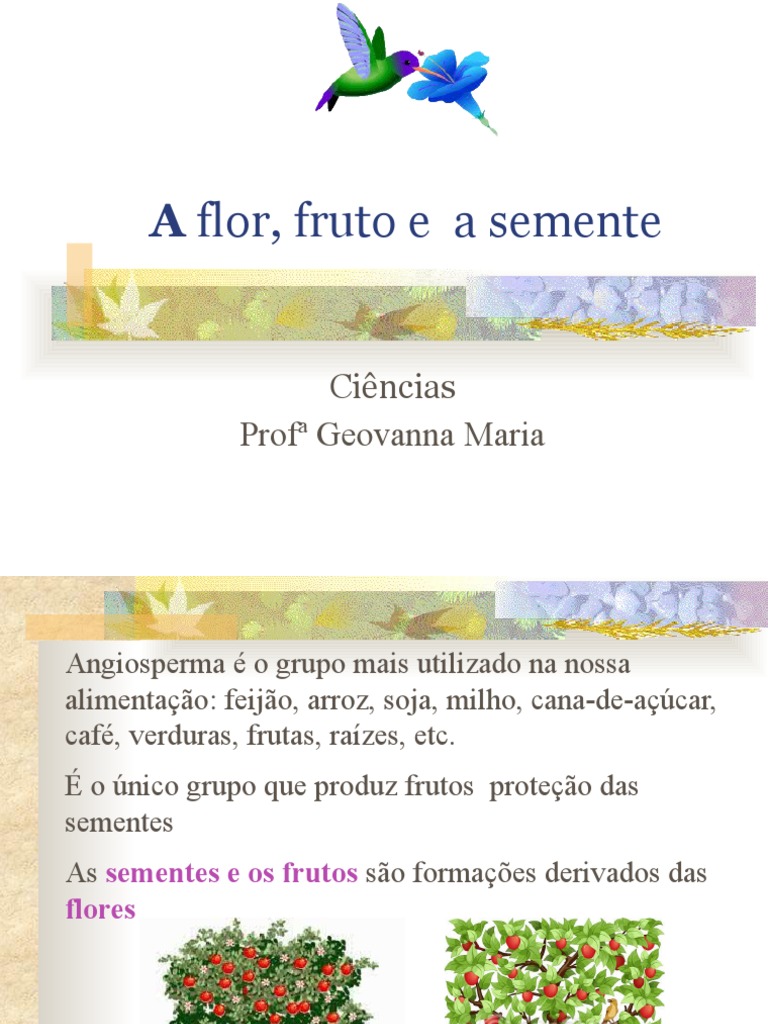 Relação entre Flor, Fruto e Semente | PDF | Fruta | Semente
