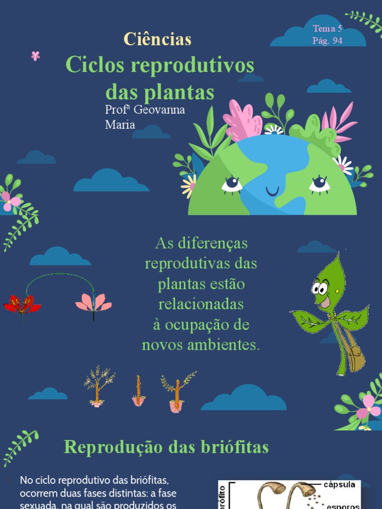 Ciclos reprodutivos das plantas | PDF | Plantas | Samambaia