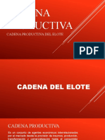 Cadena Productiva