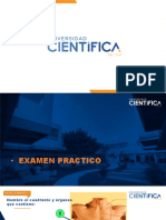 Clase 5 - Examen Pared Abdominal, Región Inguinal, Peritoneo