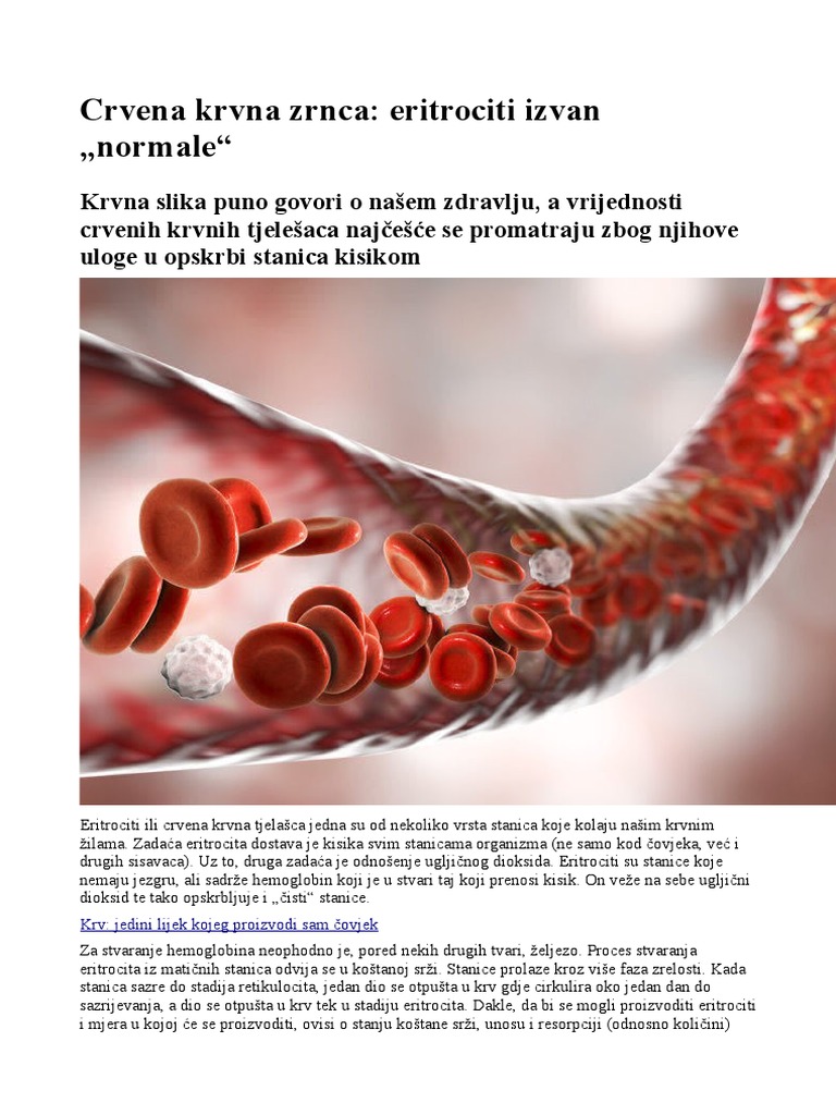 Crvena Krvna Zrnca | PDF