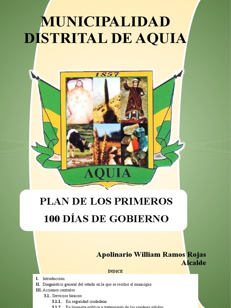 Plan de Los Primeros 100 Dias | PDF | Defensa Civil | Gobierno local