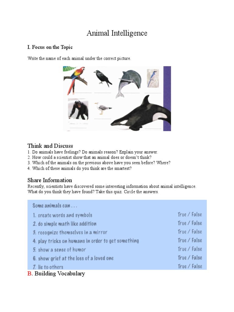 Animal Intelligence Worksheet Pdf Intelligence Vocabulary