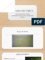 Clases de Virus