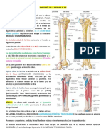 Anatomía de La Pierna y El Pie