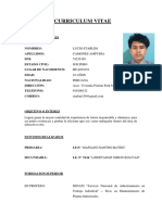 Curriculum Vitae 1