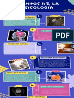 Infografia Campos de La Psicología-Nimcy Mauricio