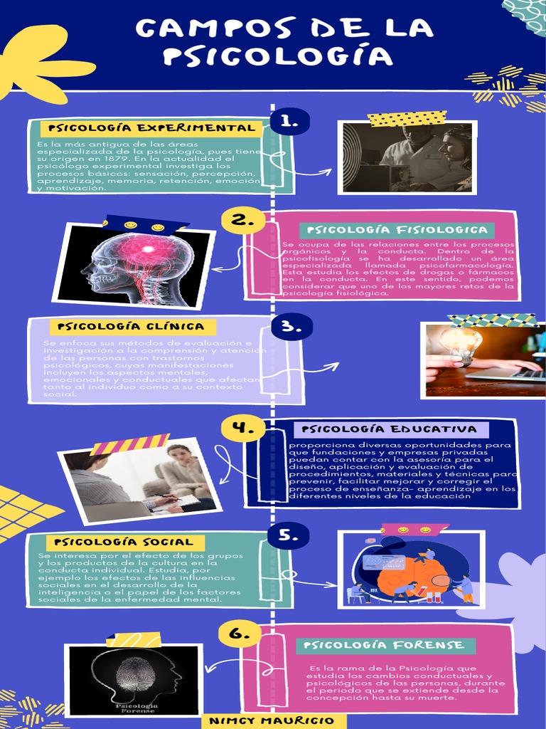 Infografia Campos de La Psicología-Nimcy Mauricio | PDF | Sicología