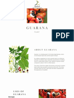 Guarana Plant