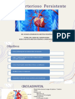 Persistencia Ductus Arterioso