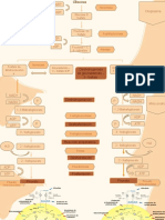 Mapa de Las Fases de La Respiracion Celular