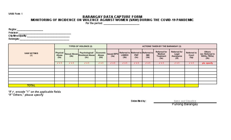 VAW Barangay Data Capture Form | PDF | Human Rights | Crimes