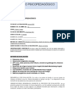 Documento PDF 4