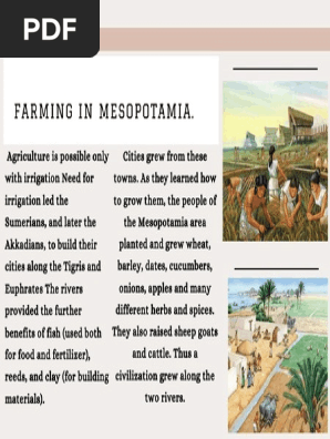 Mesopotamia Farming Irrigation