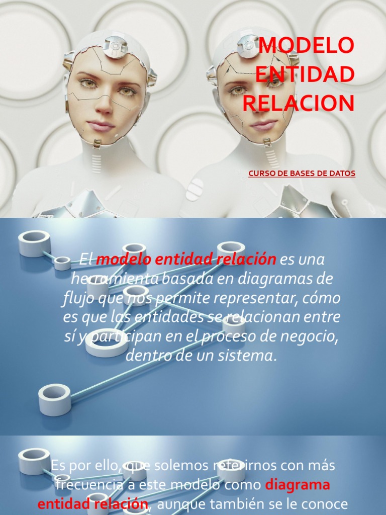 Diagrama Entidad Relación: Guía ERD | PDF | Ingeniería de software ...
