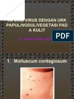 1.3 UKK Inf Virus DG Ukk Vegetasi