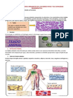 TEMA 1 2do Trim 5to