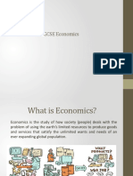 IGCSE Econ overview