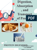Protein Digestion, Absorption and Transport