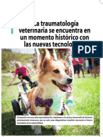 traumatologia_veterinaria_encuentra_2799_20191210011028
