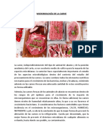 Microbiología de La Carne