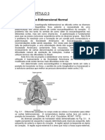 Cortes ecocardiográficos bidimensionais normais