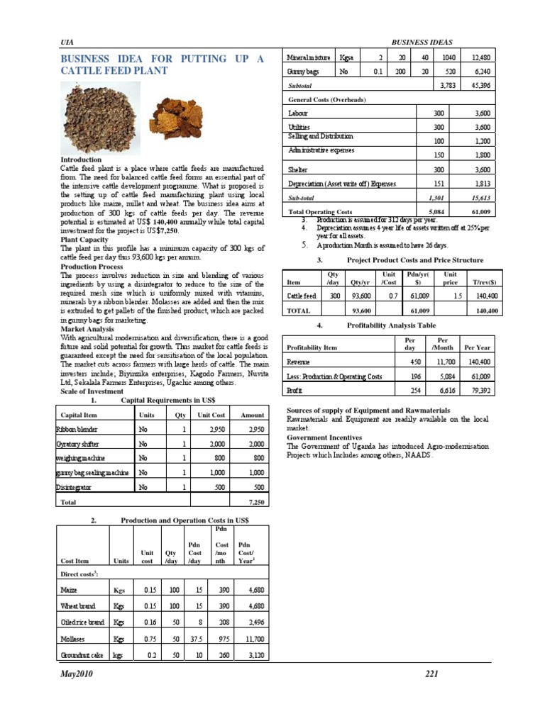 Cattle Feeds Proposal PDF Depreciation Economies