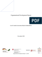Organisational Development Report