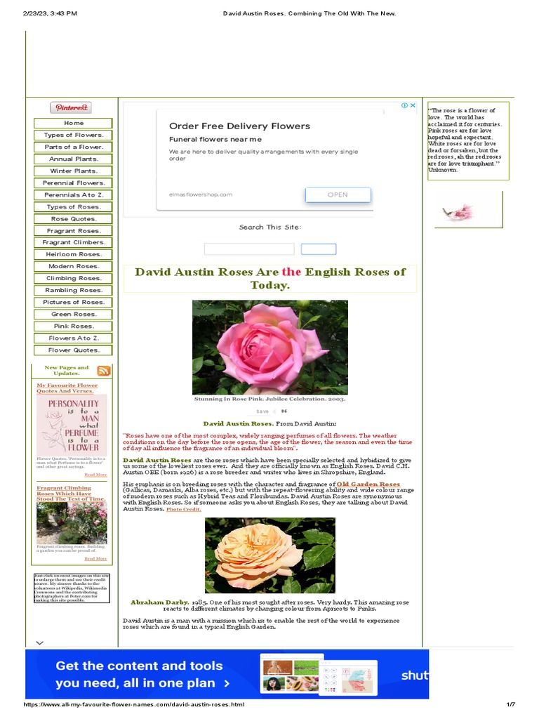 David Austin Roses. Combining The Old With The New | PDF | Garden ...