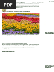 301 Different Types of Flowers With Names and Pictures