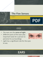TH Five Senses