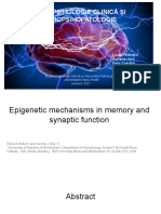 (Seminar 8) Epigenetic Mechanisms in Memory and Synaptic Function