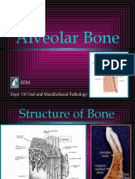 Alveolar Bone Histology