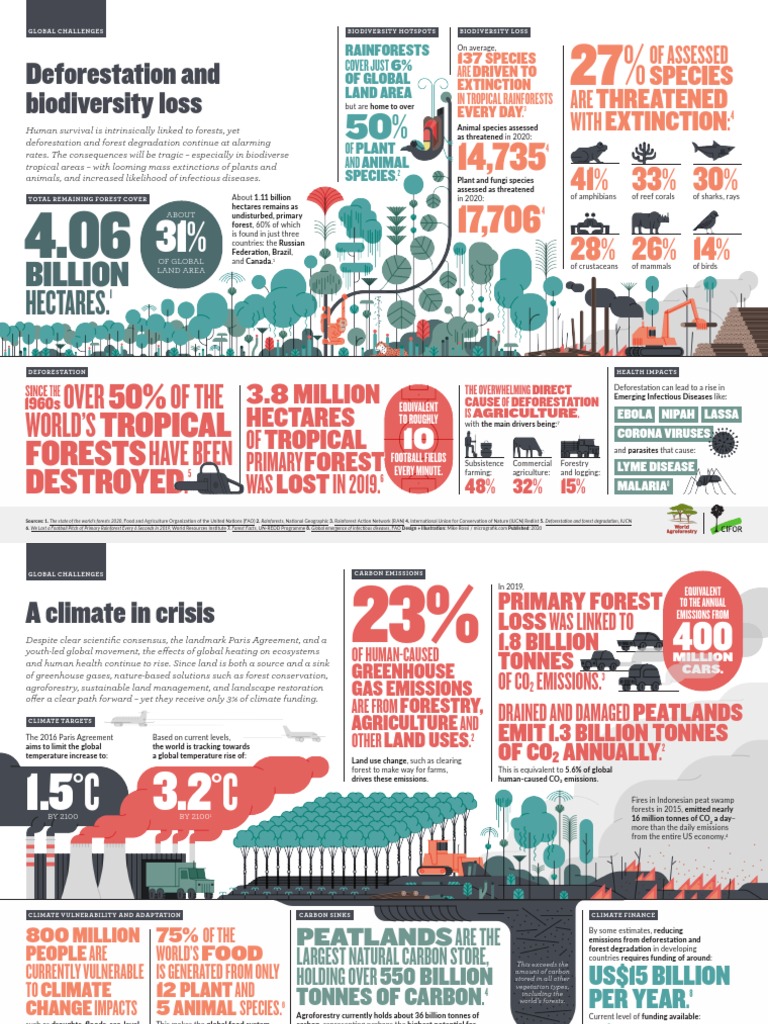 Deforestation's Impact on Biodiversity | PDF | Climate Change ...