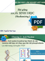 3 Bài giảng hóa sinh đại cương- chương II-Axit Nucleic