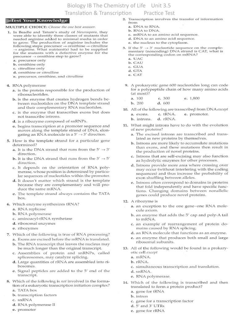 Translation &amp; Transcription PRACTICE TEST | PDF