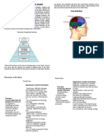 The Functioning of The Brain